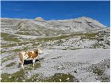 Rifugio Pederü - Sasso delle Dieci / Zehnerspitze